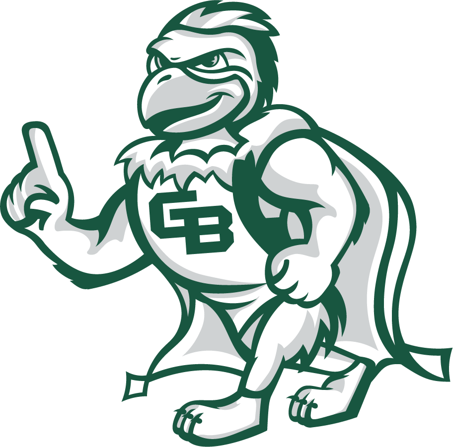 Wisconsin-Green Bay Phoenix 2020-Pres Mascot Logo v3 diy DTF decal sticker